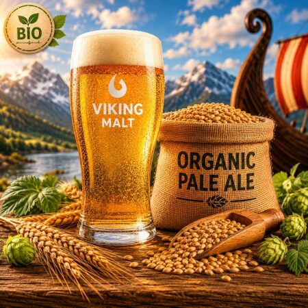 Βύνη Pale Ale Viking BIO
